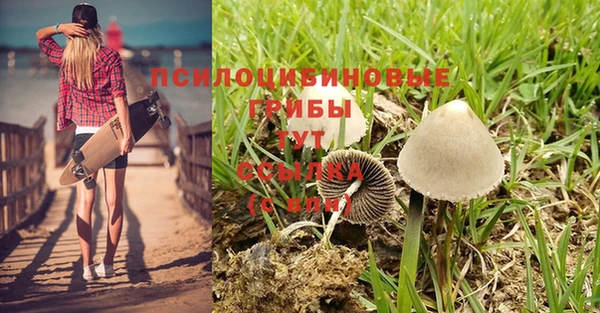 спайс Всеволожск