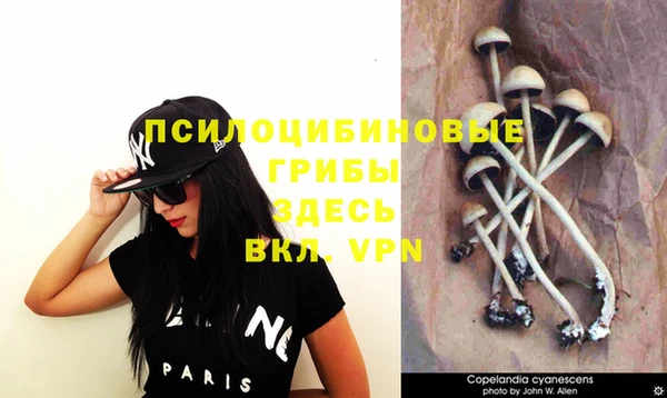 mdpv Воткинск
